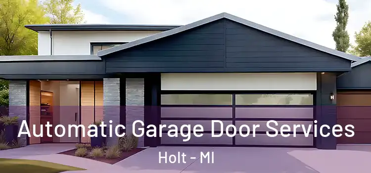  Automatic Garage Door Services Holt - MI