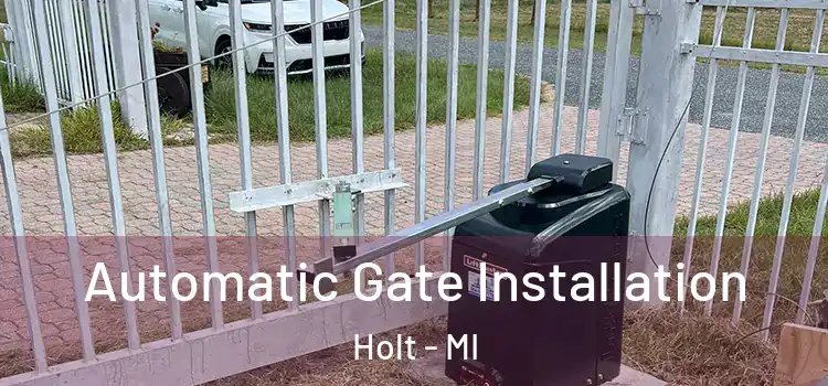 Automatic Gate Installation Holt - MI