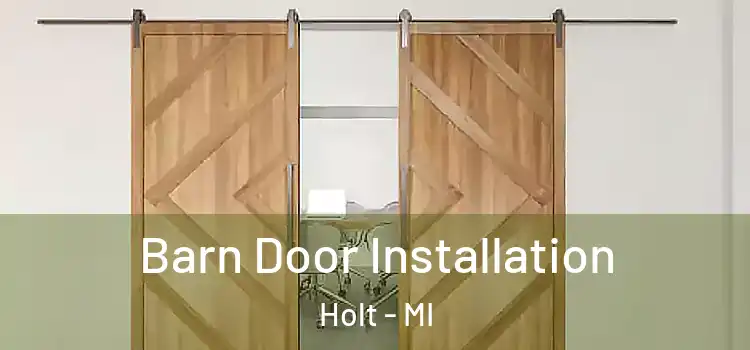  Barn Door Installation Holt - MI