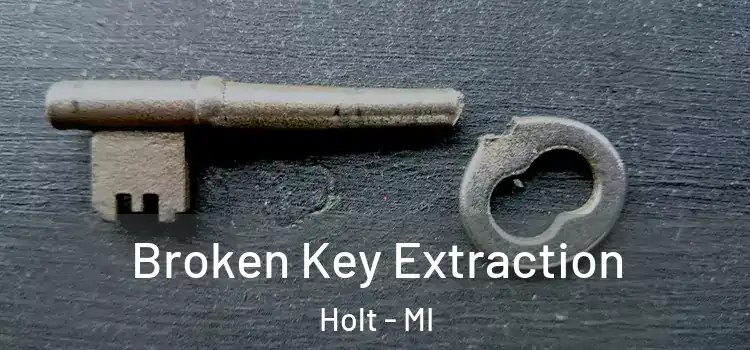  Broken Key Extraction Holt - MI