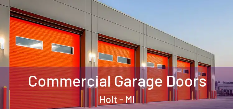  Commercial Garage Doors Holt - MI