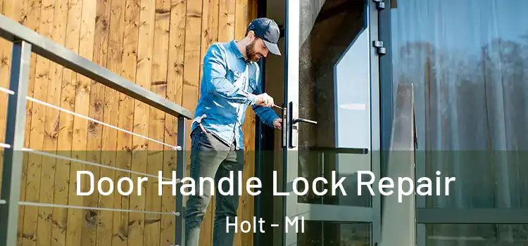 Door Handle Lock Repair Holt - MI