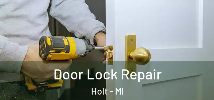 Door Lock Repair Holt - MI