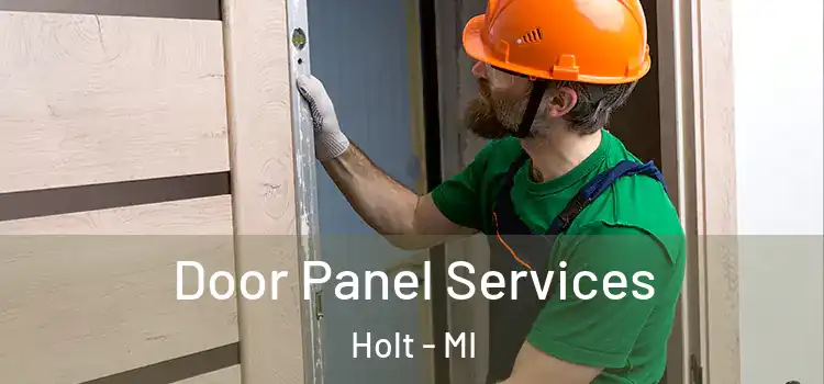  Door Panel Services Holt - MI