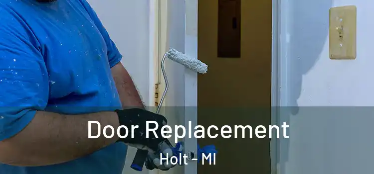 Door Replacement Holt - MI