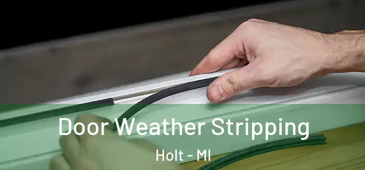 Door Weather Stripping Holt - MI