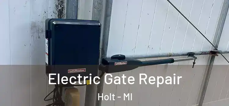 Electric Gate Repair Holt - MI