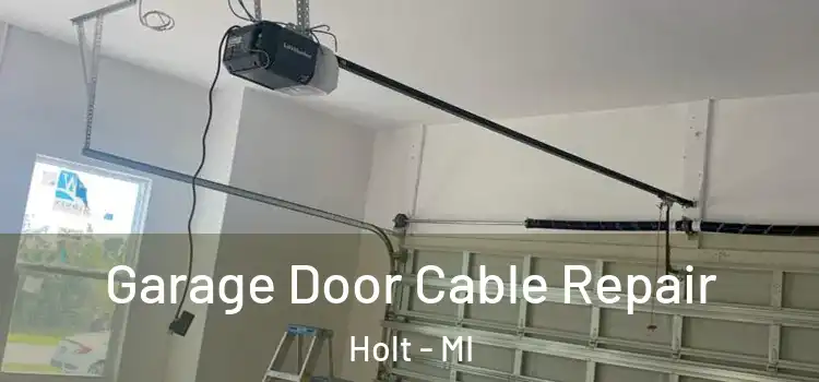  Garage Door Cable Repair Holt - MI