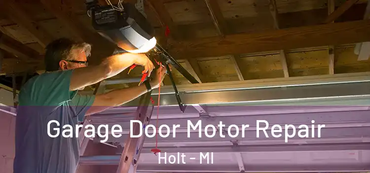  Garage Door Motor Repair Holt - MI