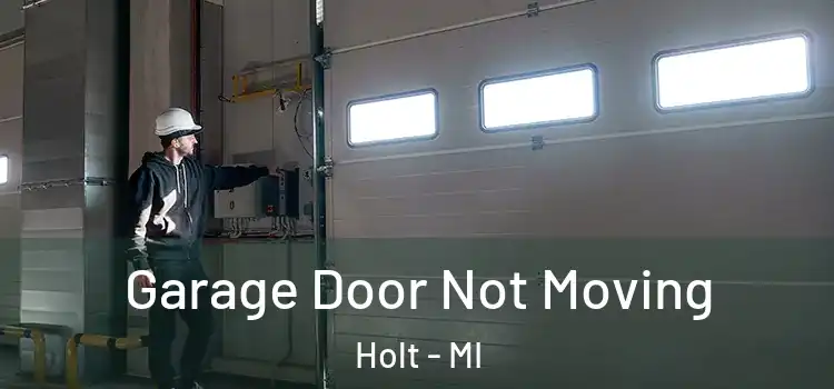  Garage Door Not Moving Holt - MI