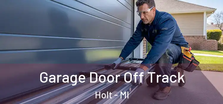  Garage Door Off Track Holt - MI