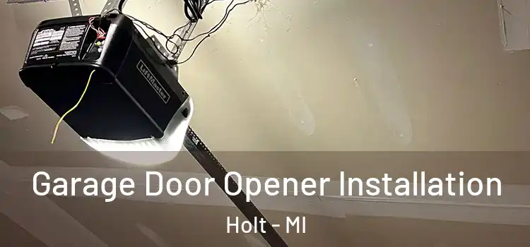  Garage Door Opener Installation Holt - MI