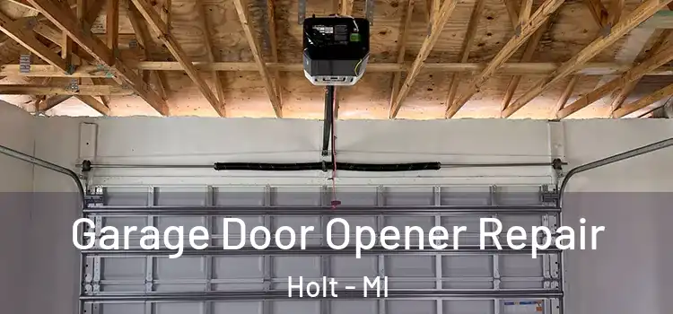  Garage Door Opener Repair Holt - MI