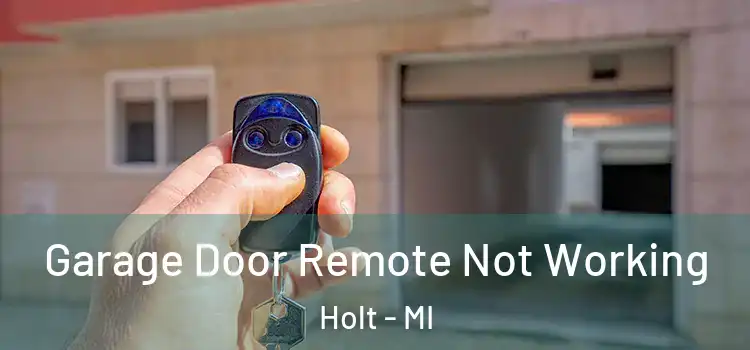  Garage Door Remote Not Working Holt - MI