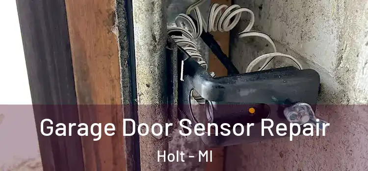 Garage Door Sensor Repair Holt - MI