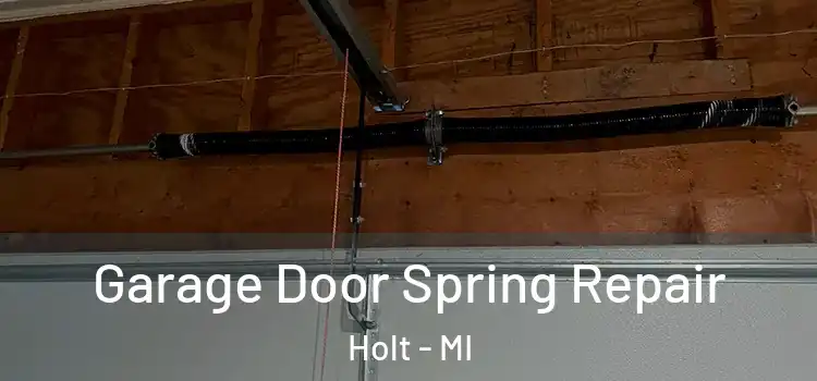  Garage Door Spring Repair Holt - MI