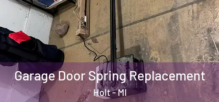  Garage Door Spring Replacement Holt - MI