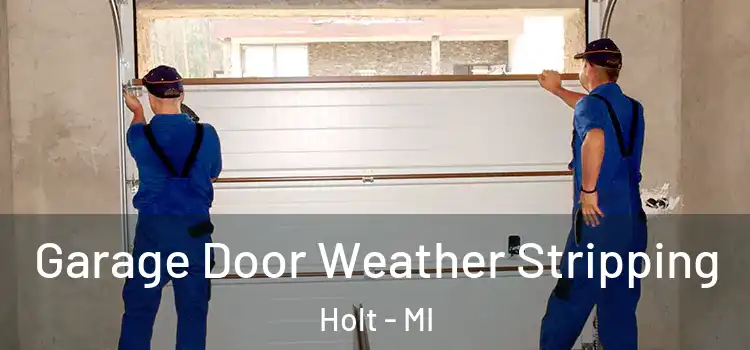  Garage Door Weather Stripping Holt - MI