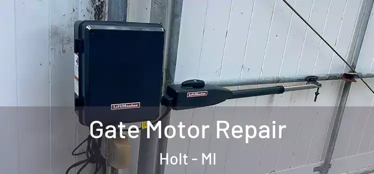 Gate Motor Repair Holt - MI