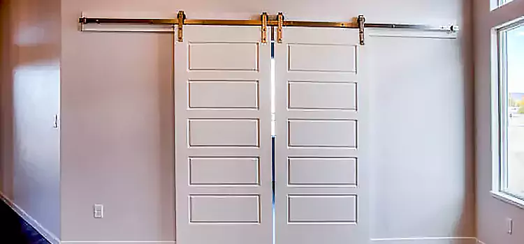 Glass Barn Door with Installation Hardware Kit Holt