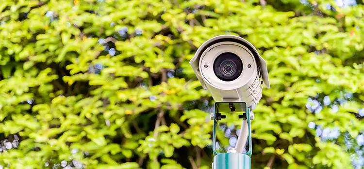 Advanced Surveillance Solutions for Every Need in Holt