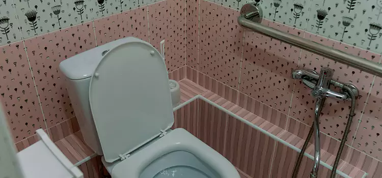Meeting Diverse Needs With Accessible Restroom Solutions in Holt, MI