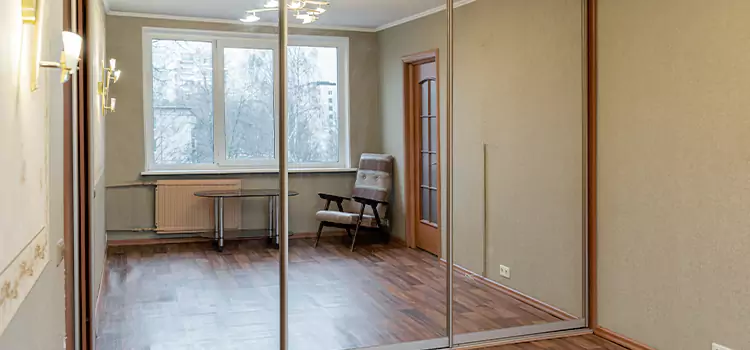 Mirror Closet Door Roller Replacement Holt