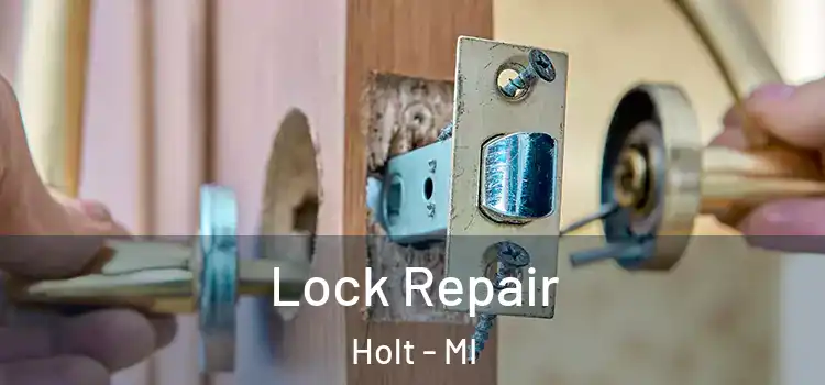  Lock Repair Holt - MI