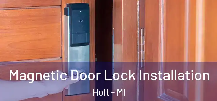  Magnetic Door Lock Installation Holt - MI
