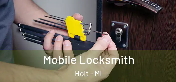 Mobile Locksmith Holt - MI