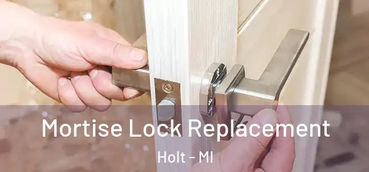  Mortise Lock Replacement Holt - MI