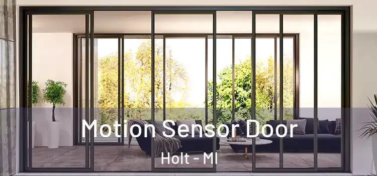  Motion Sensor Door Holt - MI