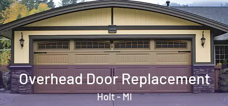  Overhead Door Replacement Holt - MI
