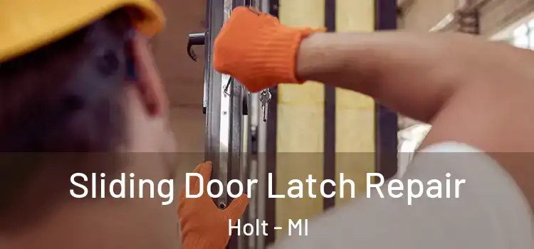 Sliding Door Latch Repair Holt - MI
