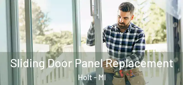  Sliding Door Panel Replacement Holt - MI