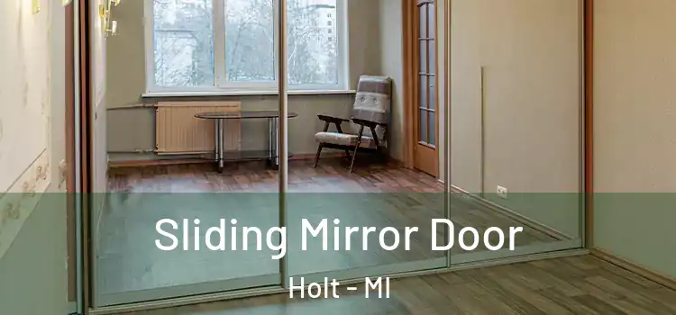  Sliding Mirror Door Holt - MI