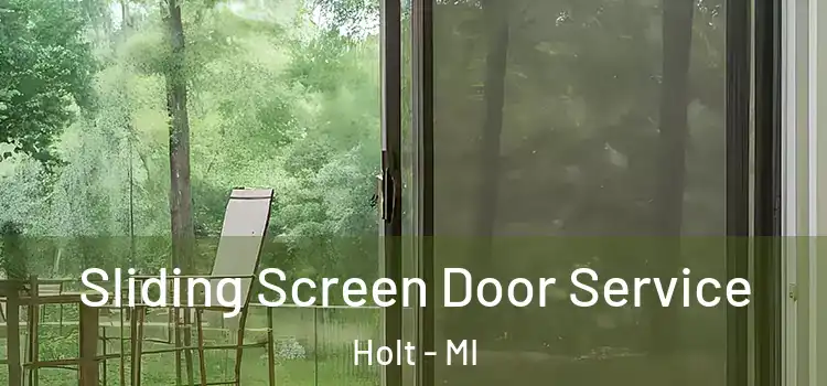Sliding Screen Door Service Holt - MI
