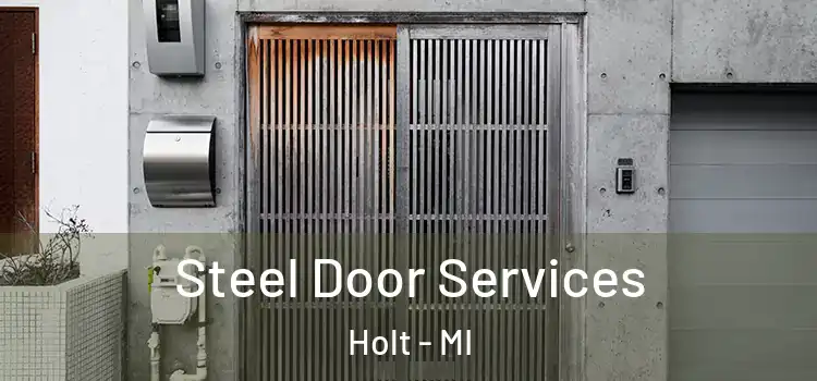 Steel Door Services Holt - MI