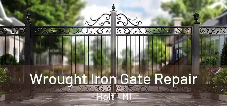 Wrought Iron Gate Repair Holt - MI